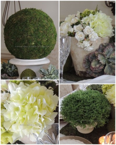 Flower, shrub, lg. moss ball collage