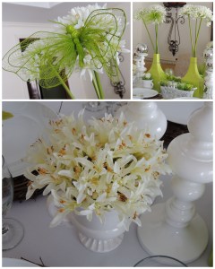 Agapanthus, butterfly collage