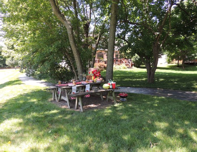 Tablescapes at Table Twenty-One, www.tabletwentyone.wordpress.com, Picnic Ants - picnic table from the distance