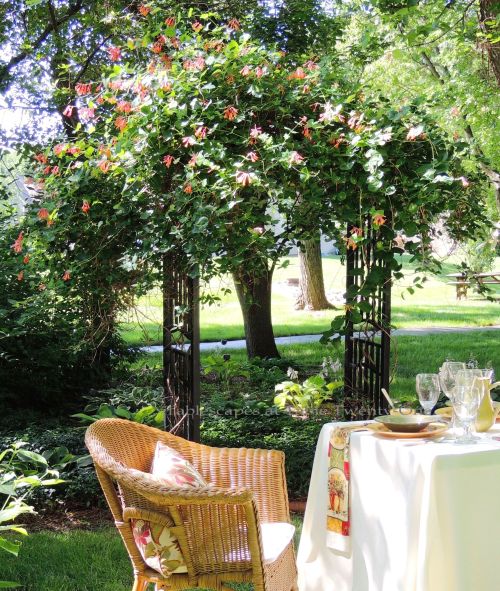 Tablescapes at Table Twenty-One, www.tabletwentyone.wordpress.com, Italian Honeysuckle: Honeysuckle arbor