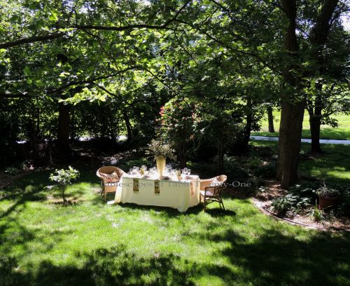 Tablescapes at Table Twenty-One, www.tabletwentyone.wordpress.com, Italian Honeysuckle: Table set up in yard