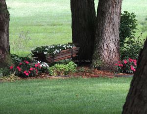 INSPIRATION: This beautiful wooden wheelbarrow in our neighbors' back yard.