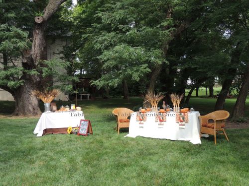 Tablescapes at Table Twenty-One, www.tabletwentyone.wordpress.com, Most Egg-cellent Fall Breakfast: Dining and buffet table