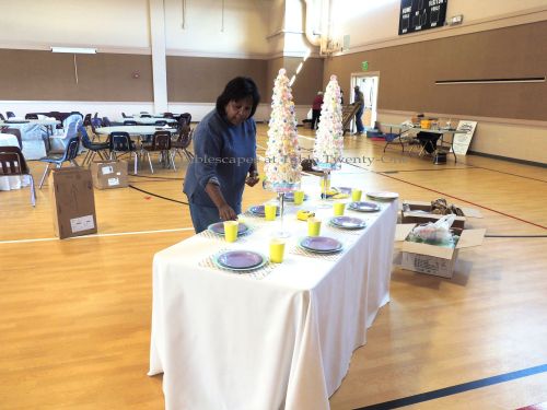 Alycia Nichols, Tablescapes at Table Twenty-One, www.tabletwentyone.wordpress.com, “Confectionery Christmas” – set up for Garlands & Gatherings, a benefit event for Hope Haven of Cass County, MO