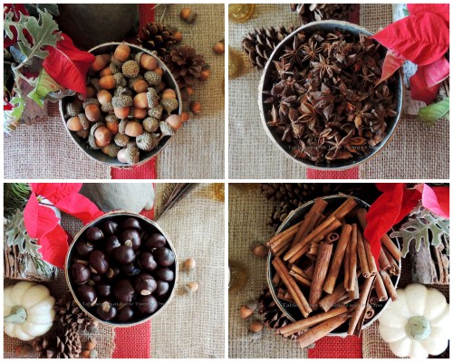 Alycia Nichols, Tablescapes at Table Twenty-One, www.tabletwentyone.wordpress.com, ”Over the River & Through the Woods – Transitional Tablescape: Acorns, star anise, buckeyes and cinnamon sticks in bark-wrapped cylinders collage
