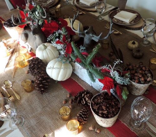 Alycia Nichols, Tablescapes at Table Twenty-One, www.tabletwentyone.wordpress.com, ”Over the River & Through the Woods – Transitional Tablescape: Whole centerpiece using birch bark-covered vases, resin reindeer, pumpkins, acorns, pine cones, whole spices, florals