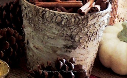 Alycia Nichols, Tablescapes at Table Twenty-One, www.tabletwentyone.wordpress.com, ”Over the River & Through the Woods – Transitional Tablescape: birch bark-wrapped cylinder